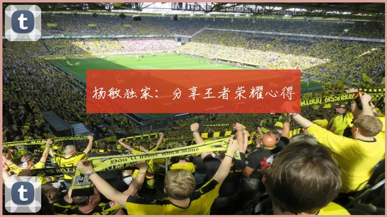 杨敏独家：分享王者荣耀心得