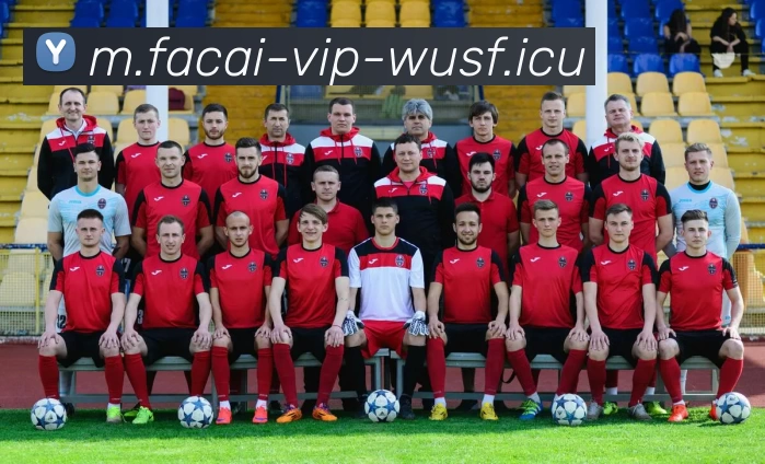 乐鱼体育APP 封面图